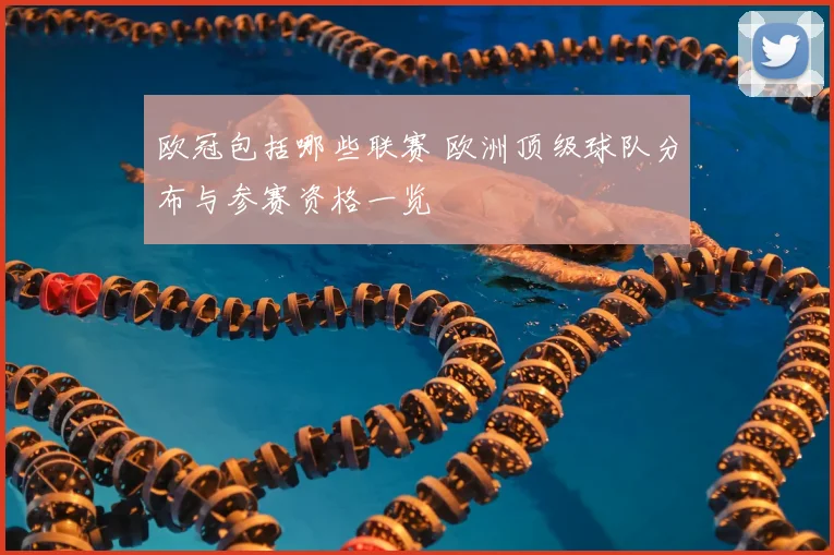 欧冠包括哪些联赛 欧洲顶级球队分布与参赛资格一览