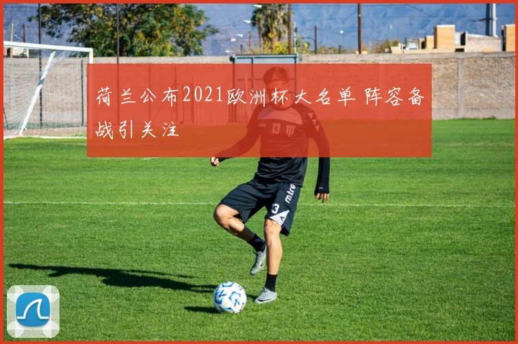 荷兰公布2021欧洲杯大名单 阵容备战引关注