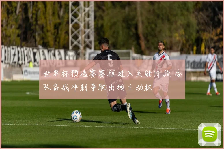 世界杯预选赛赛程进入关键阶段 各队备战冲刺争取出线主动权