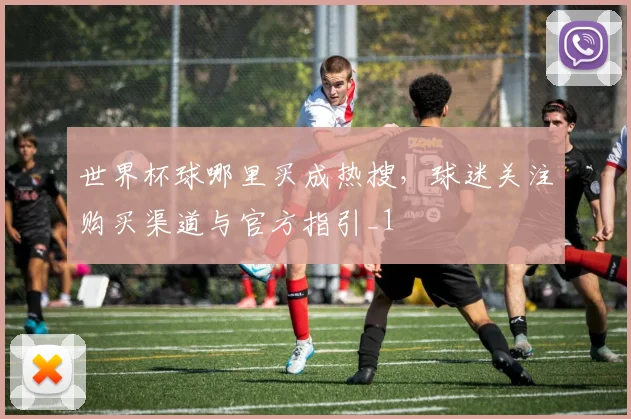 世界杯球哪里买成热搜，球迷关注购买渠道与官方指引_1