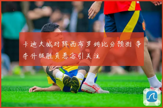 卡迪夫城对阵西布罗姆比分预测 争夺升级胜负悬念引关注